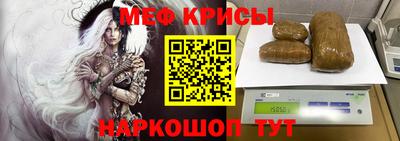 спайс Кингисепп