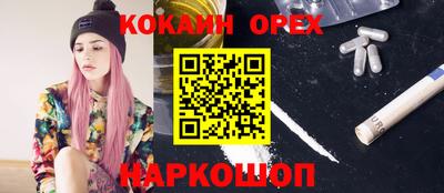 спайс Кингисепп