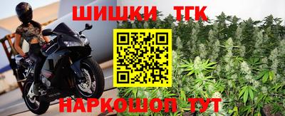 спайс Кингисепп