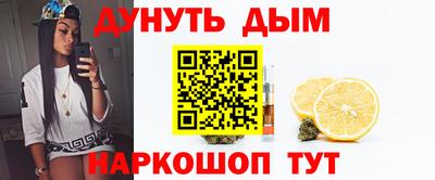 индика Кандалакша