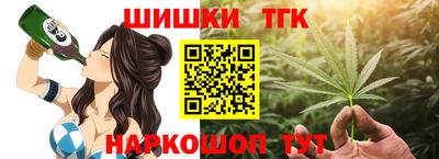 спайс Кингисепп