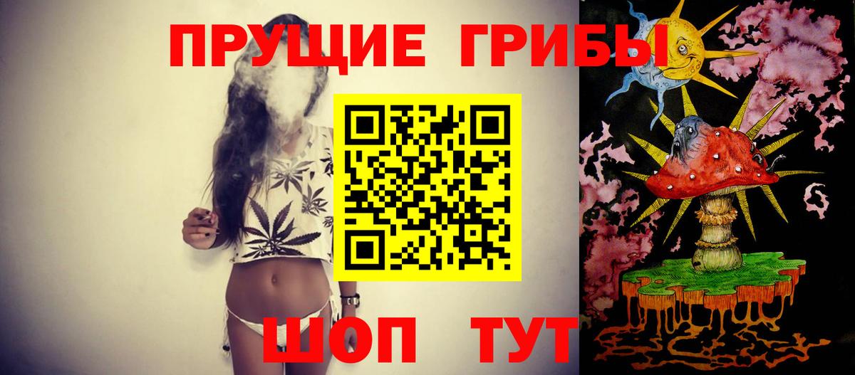Псилоцибиновые грибы Psilocybe Краснодар