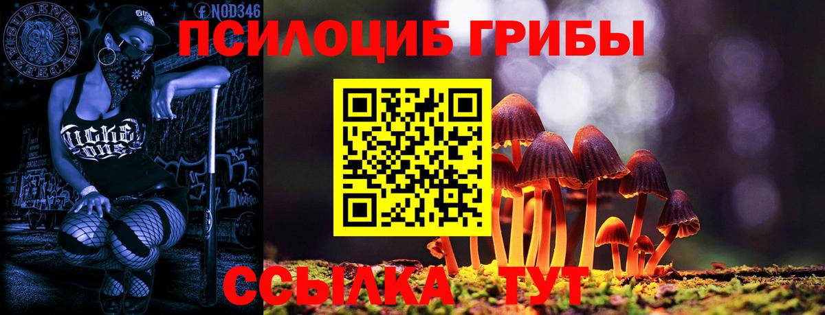 Галлюциногенные грибы Psilocybe  Вход с VPN  Краснодар 